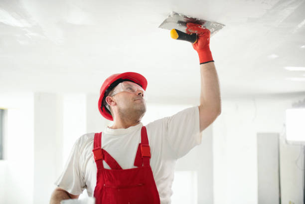 Trusted Guilford Center, CT Mold Removal Experts