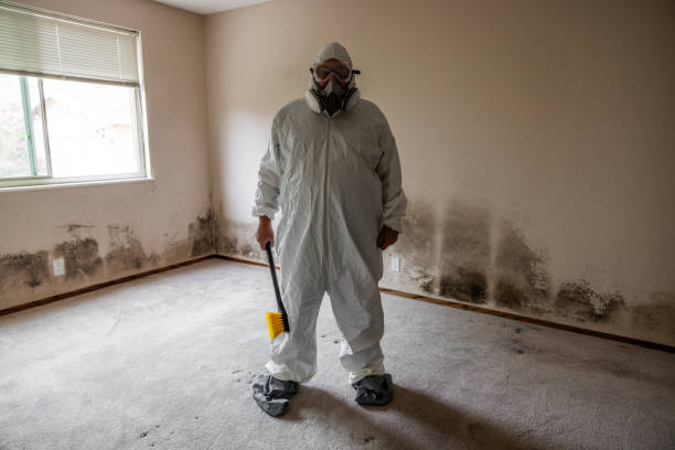 Best Emergency Mold Remediation  in Guilford Center, CT