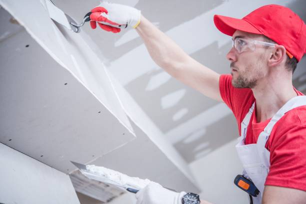 Best Mold Remediation for Rental Properties  in Guilford Center, CT